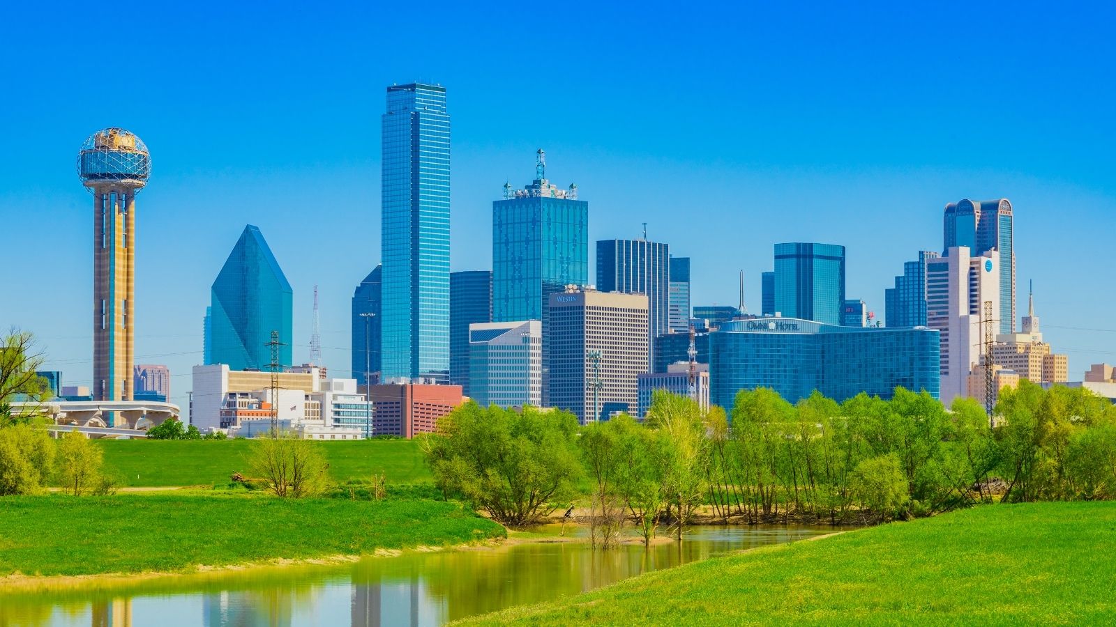 5 Best Things to Do in Dallas, TX